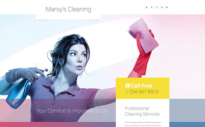 Cleaning WordPress Theme 
