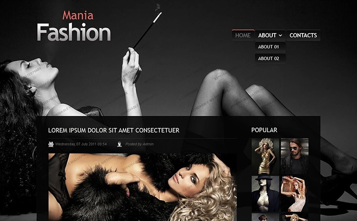 Fashion WP Template
