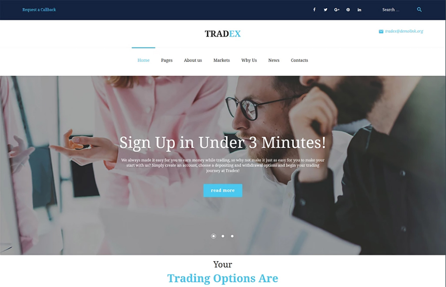 forex-trading-wordPress-theme-61298-big