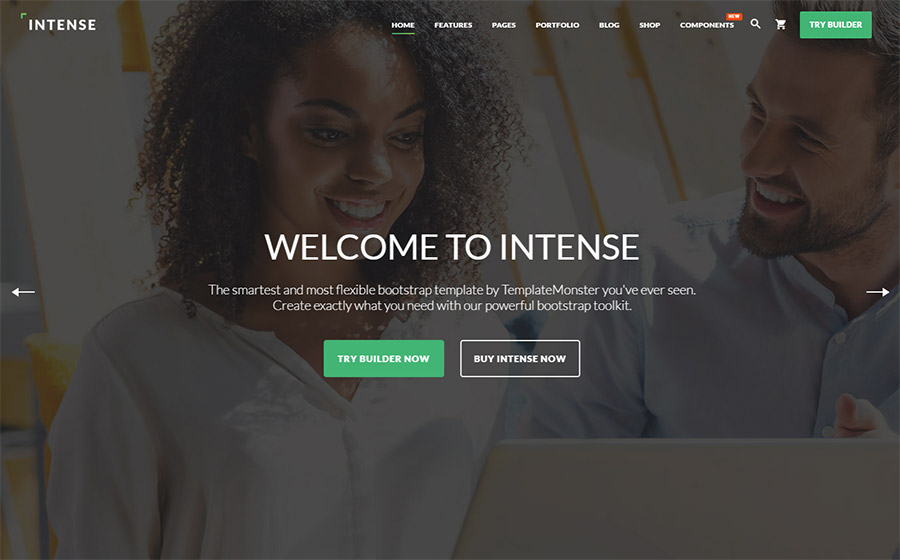  Intense Multipurpose Website Template DesignZone W3itexperts